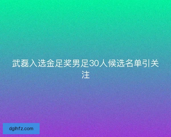 武磊入选金足奖男足30人候选名单引关注